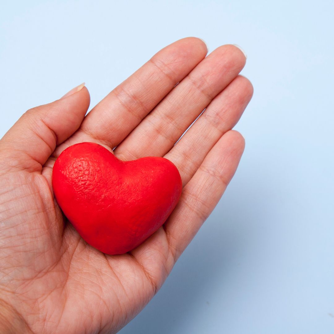 people holding a house